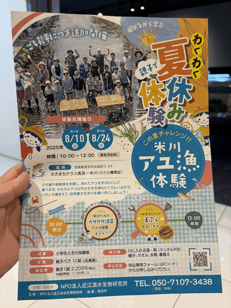 チラシ